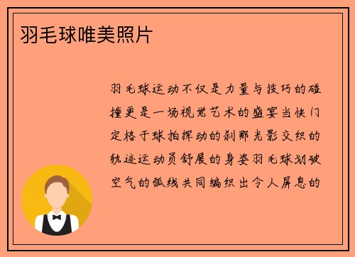 羽毛球唯美照片